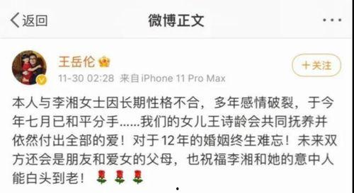 娱乐圈吃瓜报告